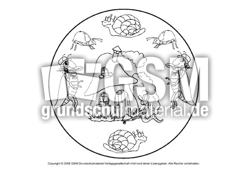 Tier-Mandala-13.pdf